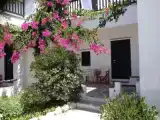 Студия с красивым видом из окна