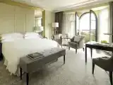 Двухместный номер Deluxe с видом на парк