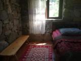 Двухместный номер Стандарт с видом на сад