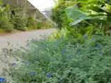 Вилла с балконом