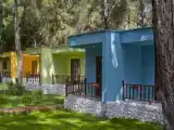 Run of House