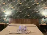 Двухместный номер Classic