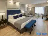 Одноместный номер Deluxe