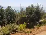 Бунгало