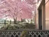 Двухместная студия Deluxe