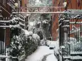 Одноместный номер Эконом
