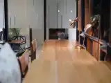 Номер Стандарт Дуплекс