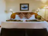 Двухместный номер Стандарт с видом на бассейн