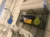 Двухместный номер Deluxe