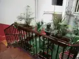 Номер Эконом