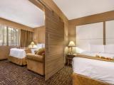 Люкс c 1 комнатой