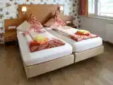 Двухместный номер Deluxe с балконом и с видом на реку
