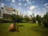 Run of House