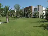 Люкс Palm