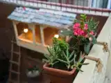 Двухместная студия