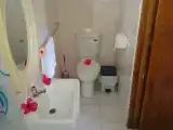Четырёхместный номер Стандарт с видом на бассейн