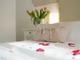 Run of House