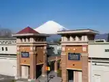 Номер Premium
