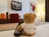 Одноместный номер Стандарт