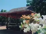 Бунгало с видом на сад