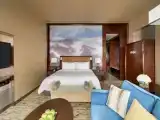 Двухместный номер Premier