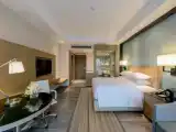 Номер Deluxe с видом на бассейн