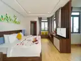 Двухместный номер Deluxe с видом на город