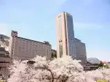 Номер Эконом