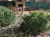 Трёхместный коттедж Стандарт с 6 комнатами