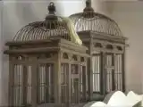 Run of House