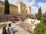 Run of House