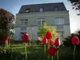 Run of House