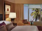 Двухместный номер Premier с видом на город