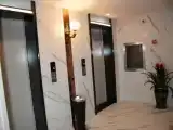 Run of House