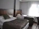 Трёхместный номер Deluxe с видом на город