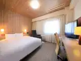 Двухместный номер Deluxe