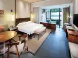 Двухместный номер Deluxe