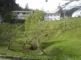 Двухместный номер Стандарт