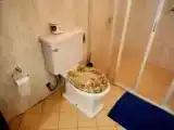 Семейное бунгало