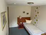 Двухместный номер Эконом с балконом и с видом на сад