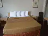 Run of House