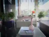 Run of House