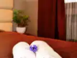 Трёхместный номер Стандарт