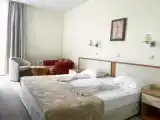 Двухместный номер Стандарт с балконом и с видом на парк