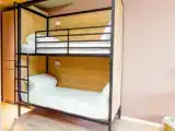 Номер Family