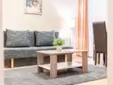 Двухместная студия