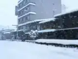 Run of House