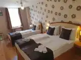 Трёхместный номер Superior