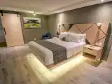 Двухместный номер Premier