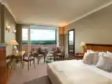 Двухместный номер Business